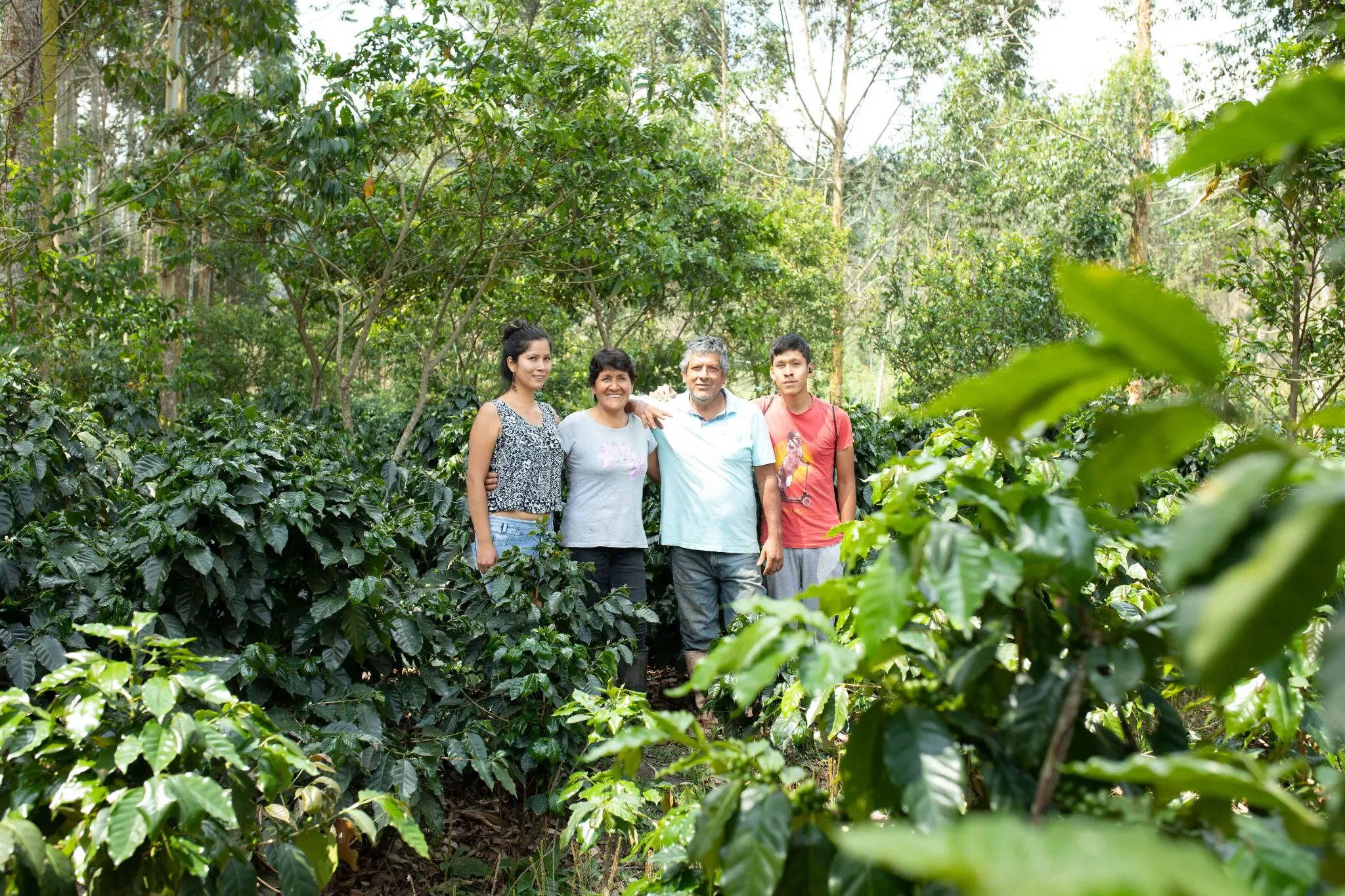La familia productora de Camargo Café reunida entre plantas de café en su parcela