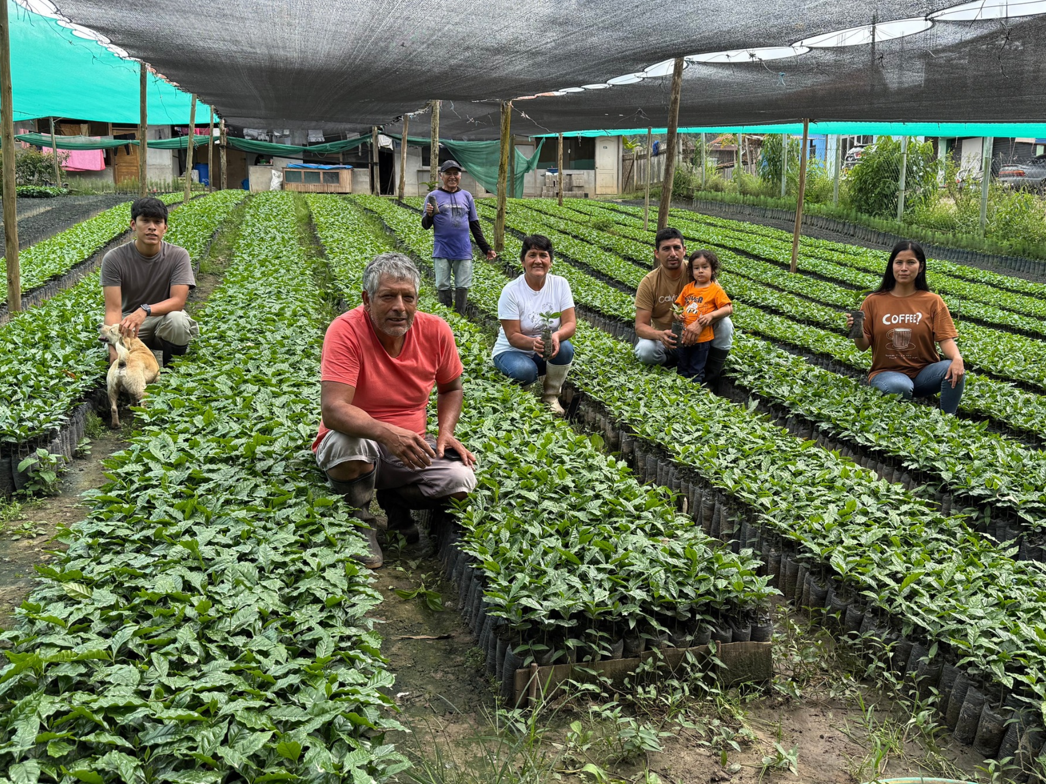 La familia Camargo Café reunida entre hileras de plantas en el vivero